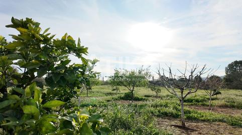 Foto 5 de Casa o chalet en venta en Centro, Ontinyent