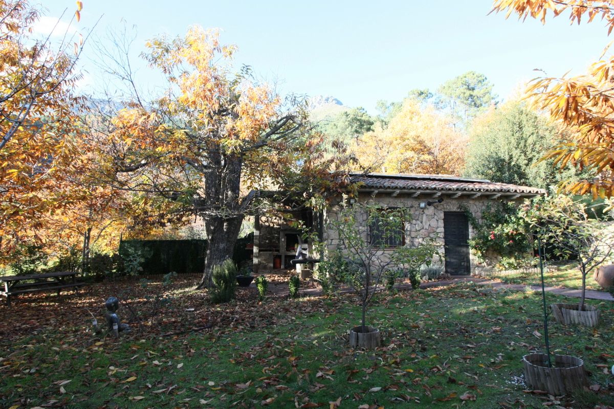 Garden of Country house for sale in El Arenal   with Furnished