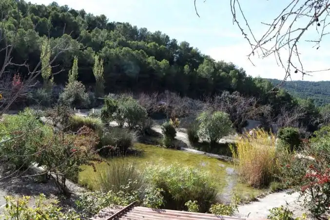Rural land for sale in Torremanzanas / La Torre de les Maçanes, imagen 4