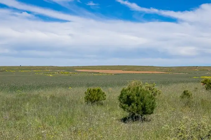Terreny rústic en venda a Sector 13 Las Zumaqueras, imagen 6