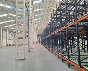 Industrial buildings to rent in Alzira