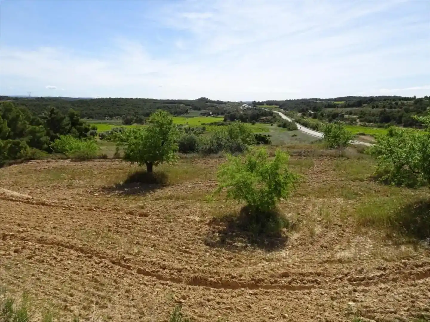 Land for sale in Batea