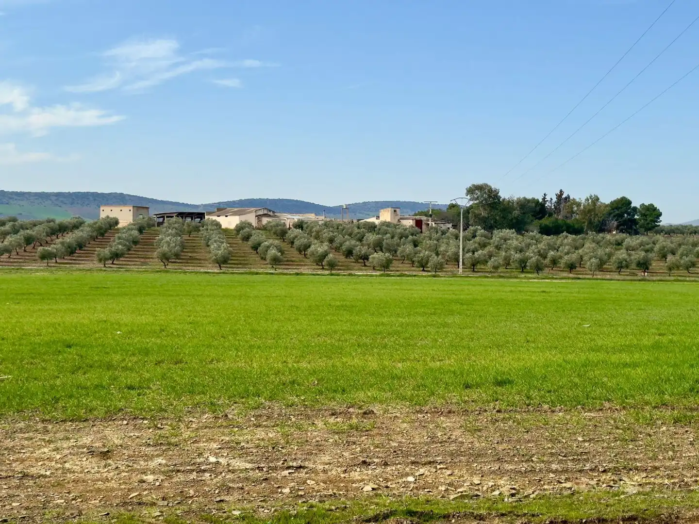 Casa rústica amb terrassa en venda a Torrenueva, imagen 45