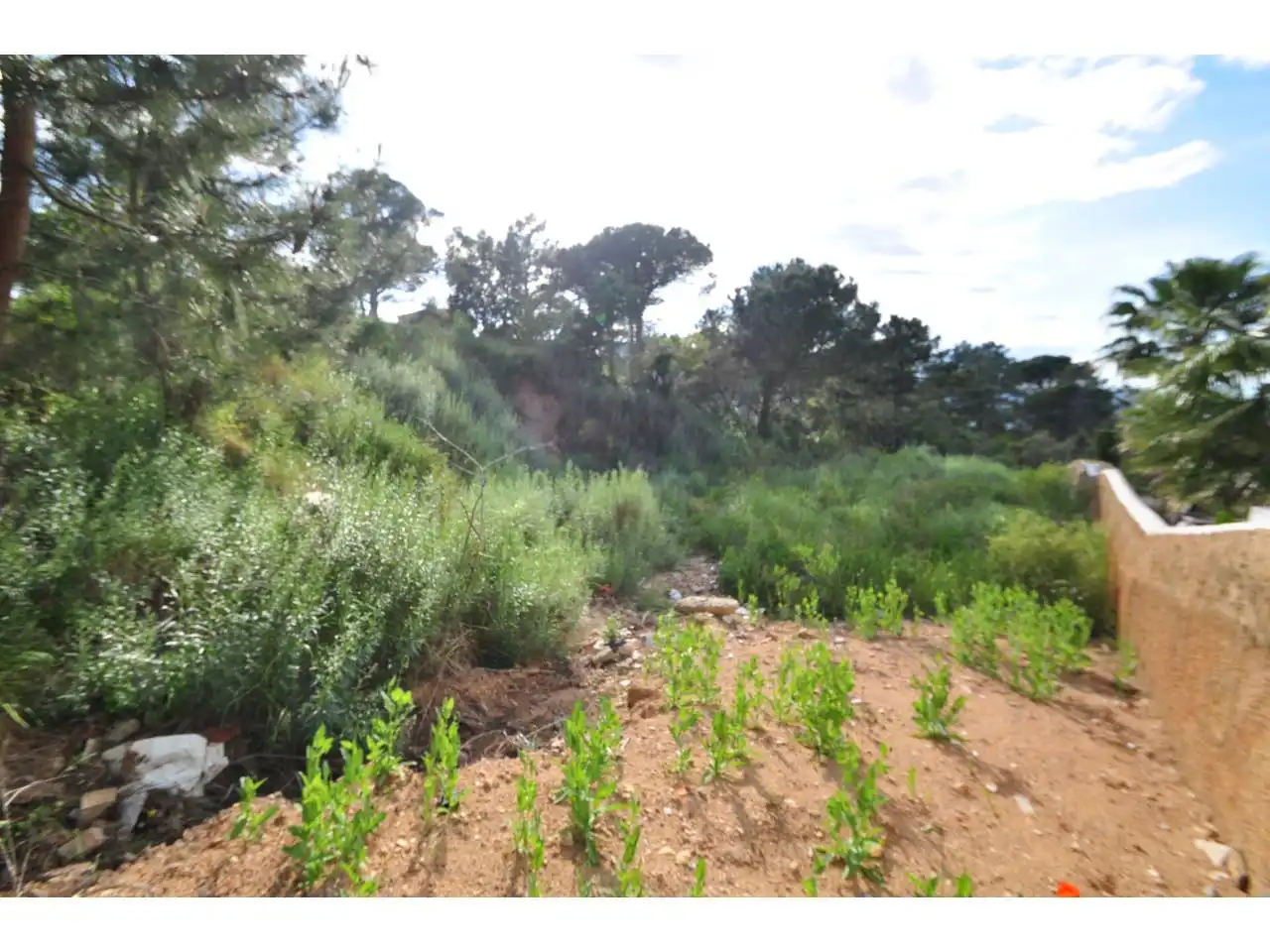 Terreno residencial en venta en Calle Roselles 29, imagen 4