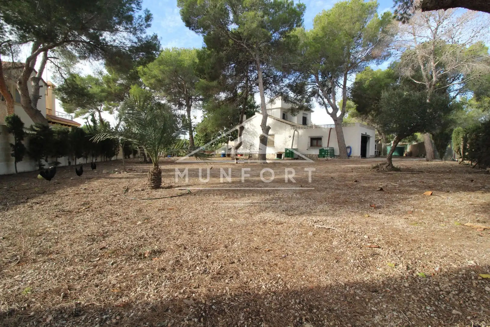 Casa o xalet en venda en Pilar de la Horadada amb Jardí privat, Terrassa i Traster