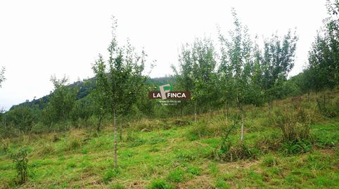 GradoTerreno, immagine 2