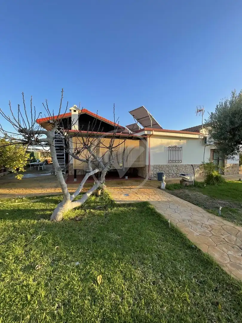 Vista exterior de Finca rústica en venda en Linares amb Jardí privat, Terrassa i Piscina