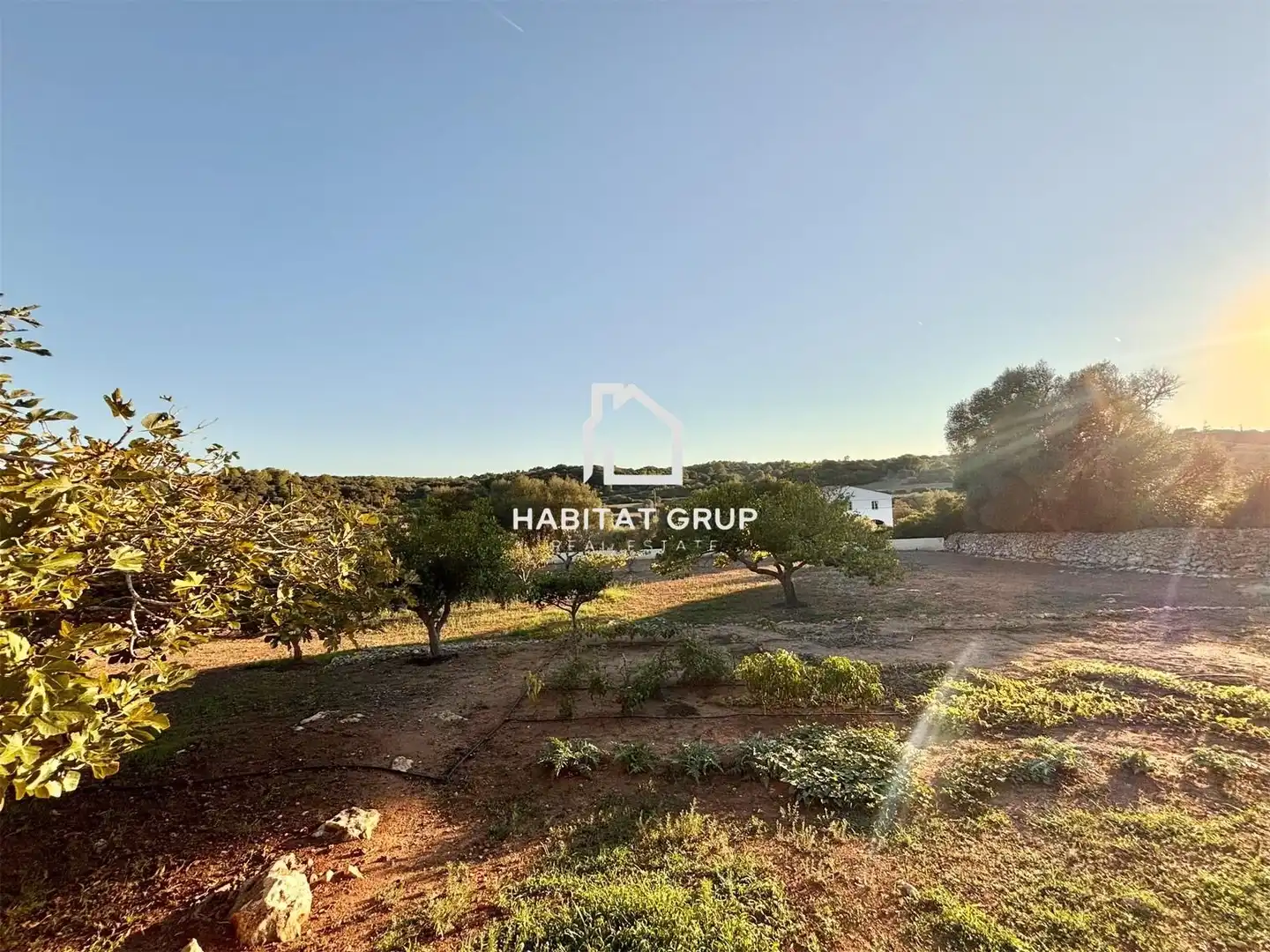 Casa o xalet en venda en Alaior amb Jardí privat, Traster i Piscina