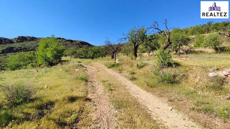 Rural land for sale in Felix, imagen 16