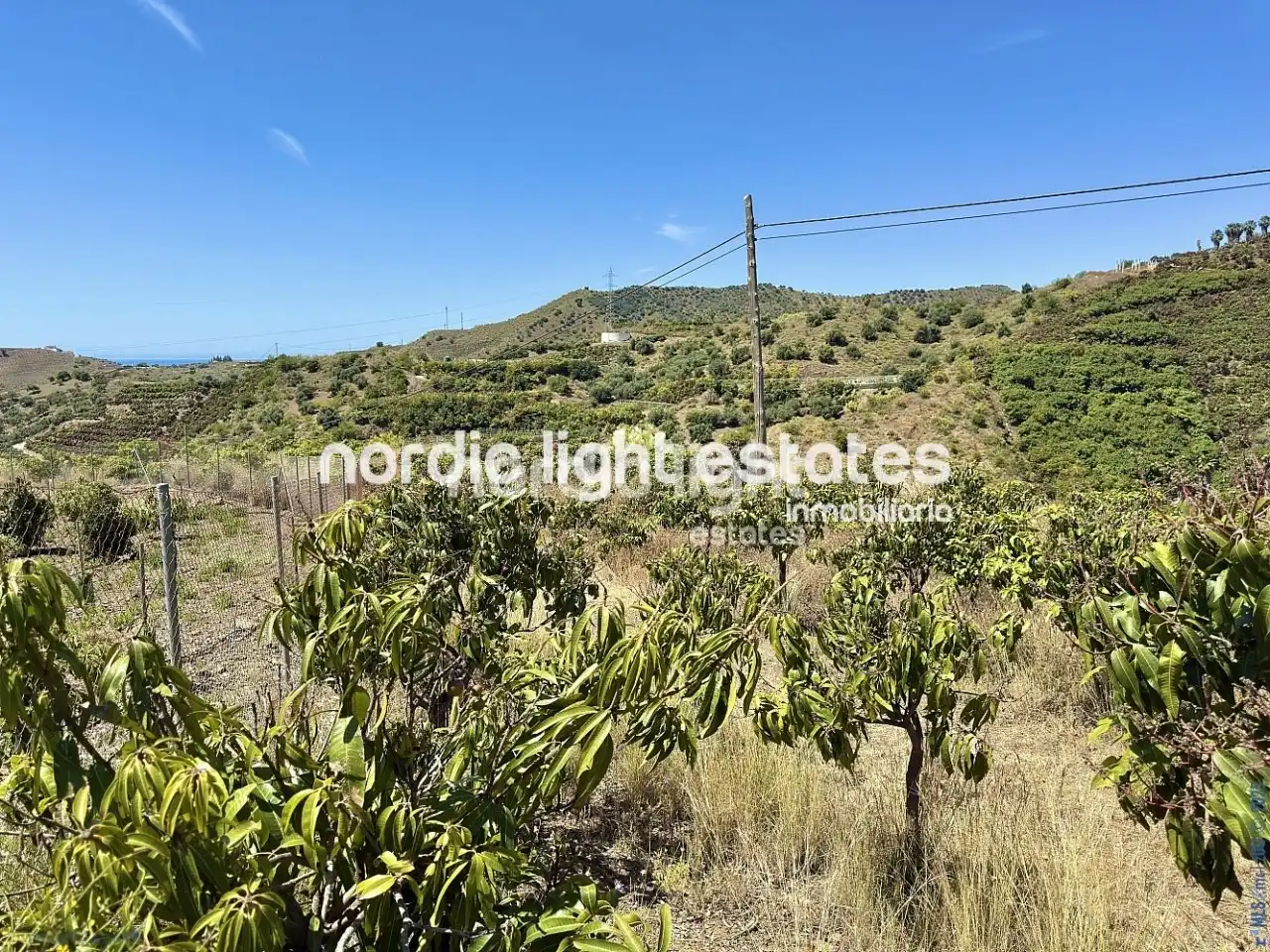 Casa en venta en Vélez-Málaga ciudad, imagen 6