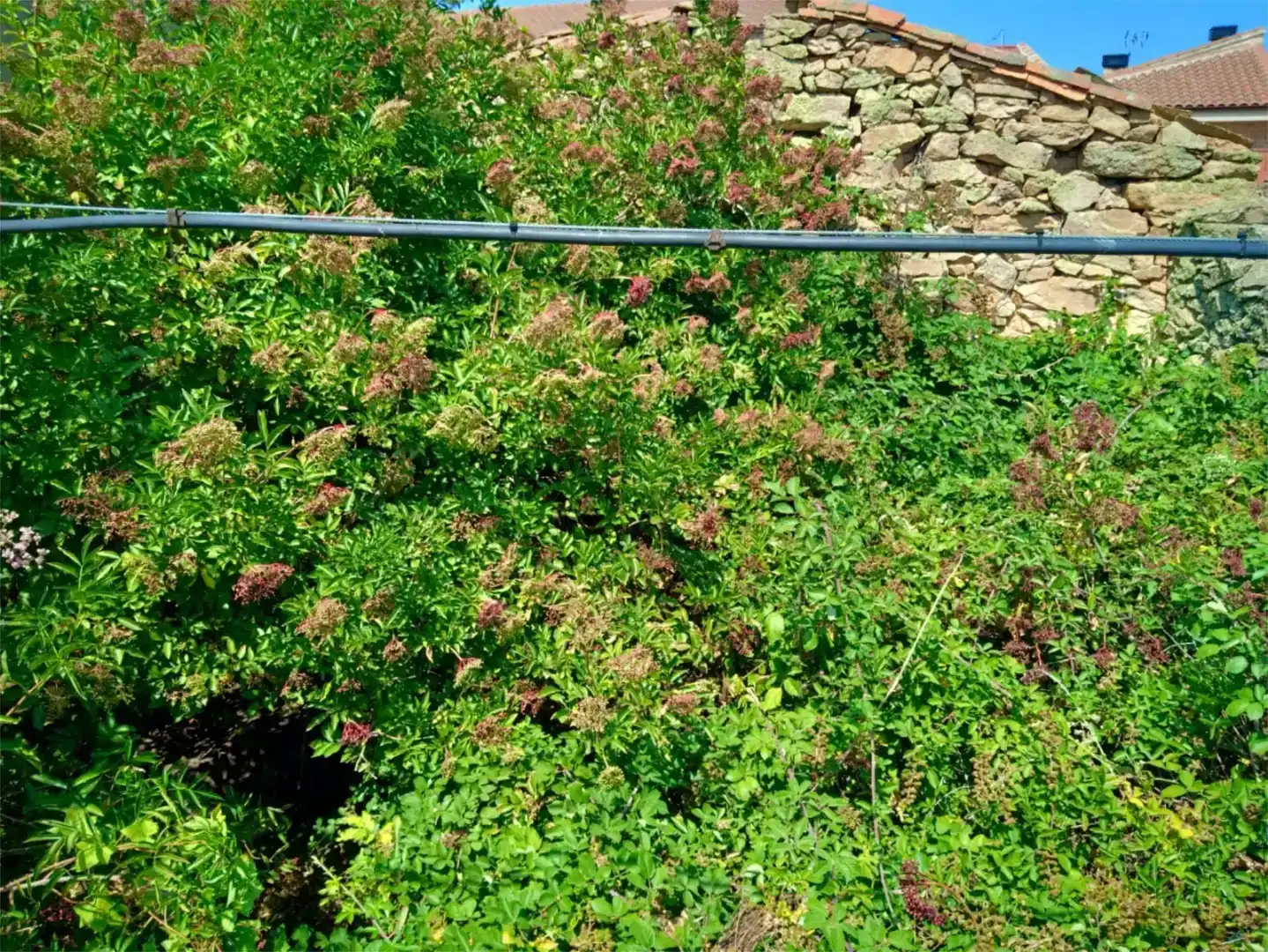 Jardí de Residencial en venda en Pereruela