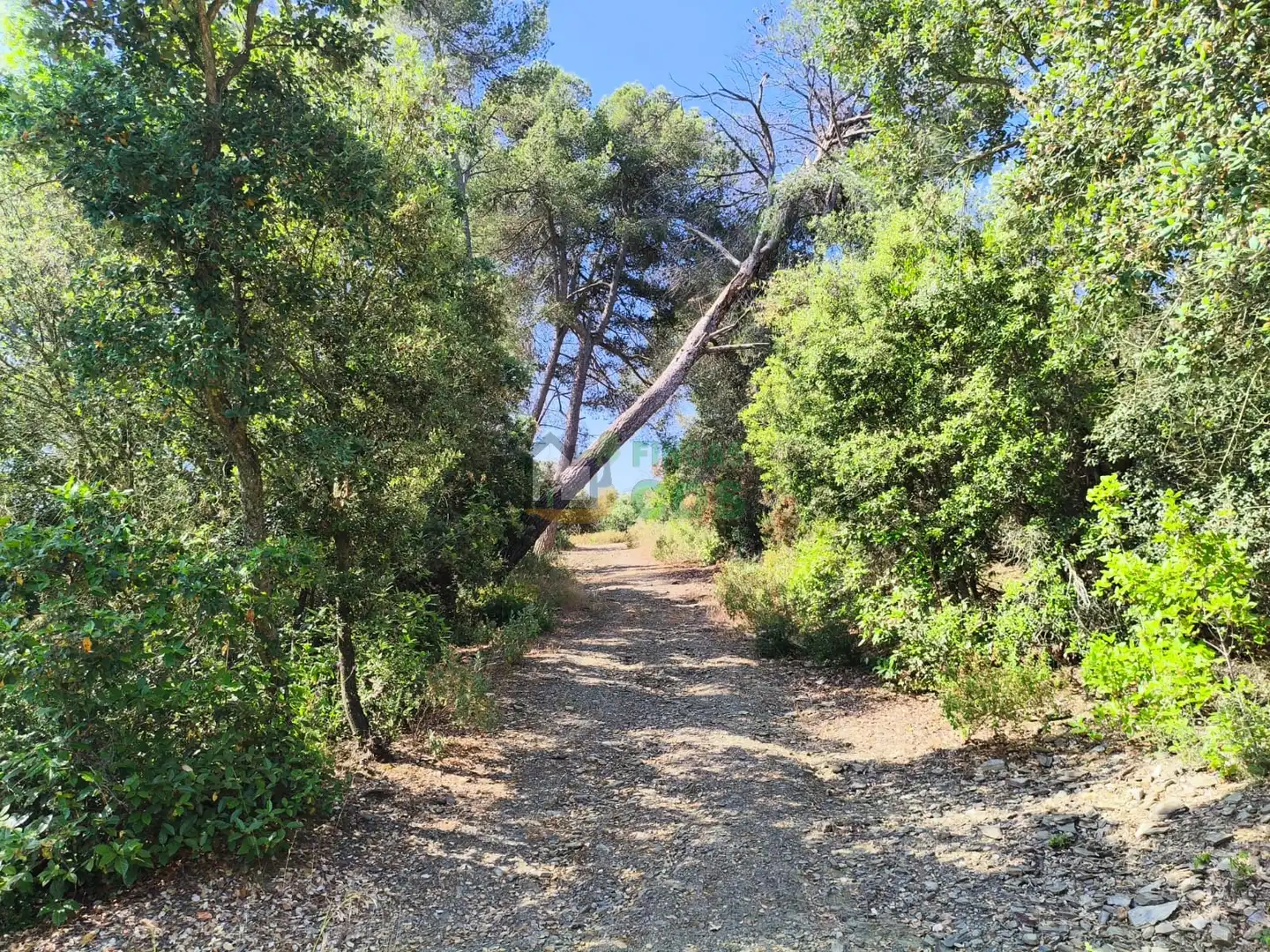 Casa o xalet en venda en Sant Cugat del Vallès amb Jardí privat, Terrassa i Balcó