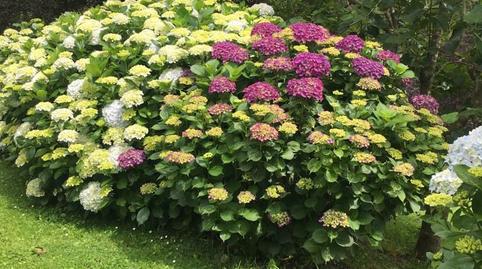 Photo 3 of House or chalet for sale in Navia, Asturias