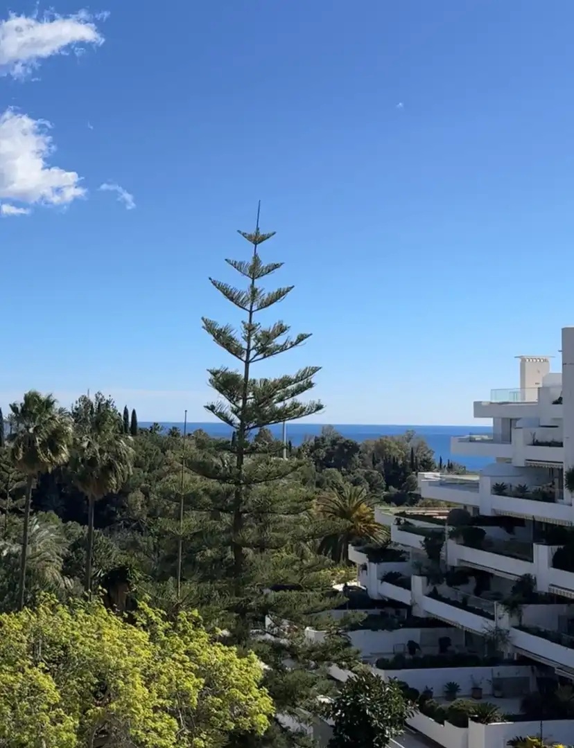 Apartament amb terrassa en venda a Milla de Oro, imagen 24