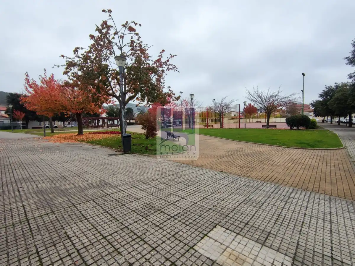 Exterior view of Residential for sale in Burgos