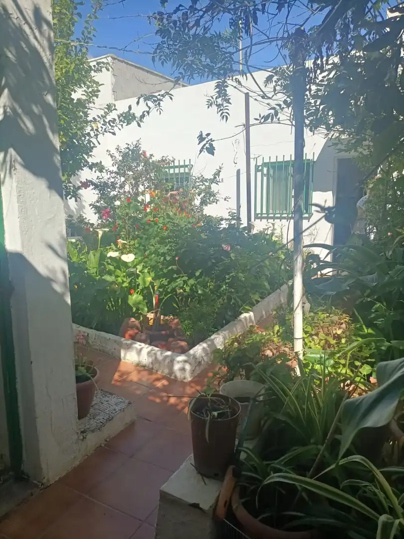 Jardí de Casa o xalet en venda en San Fernando amb Jardí privat