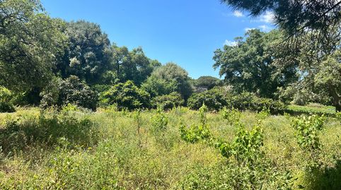 Foto 5 de Finca rústica en venda a Vejer, Vejer de la Frontera