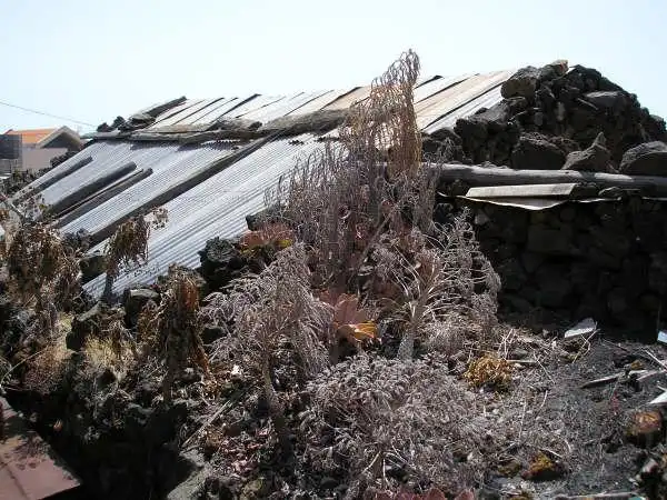 Garden of Country homes for sale in El Pinar de El Hierro