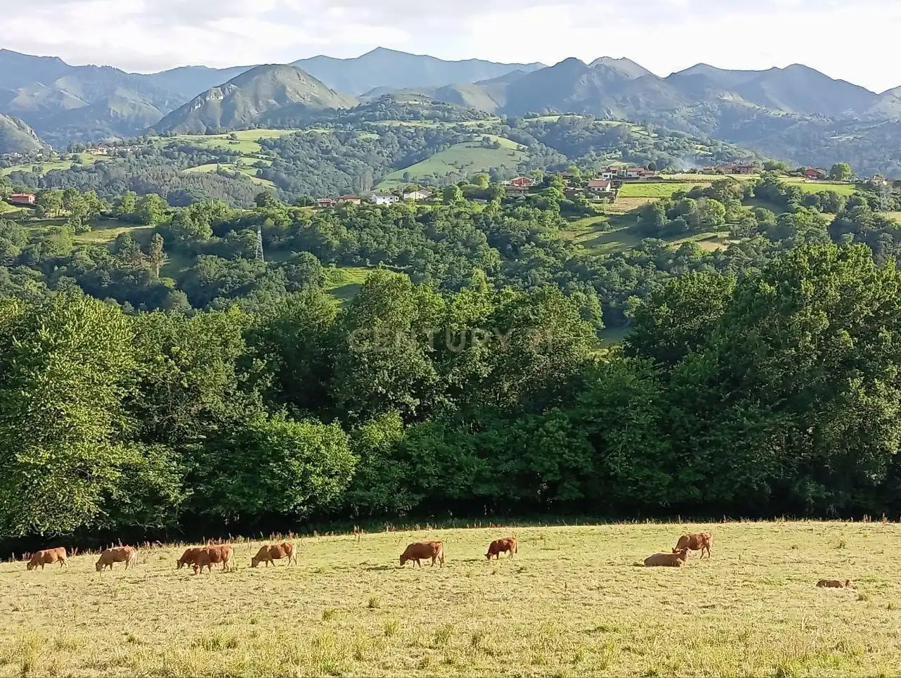 Maison à vendre à Sebares, Piloña, Asturias, Spain 28, imagen 76
