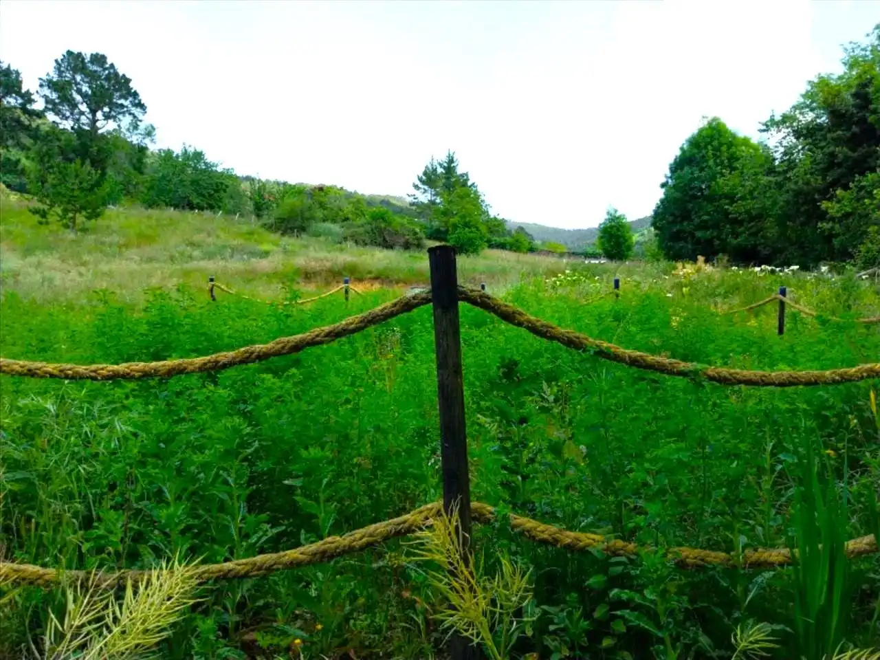 Residential for sale in EL CAÑADO, 2, Limpias