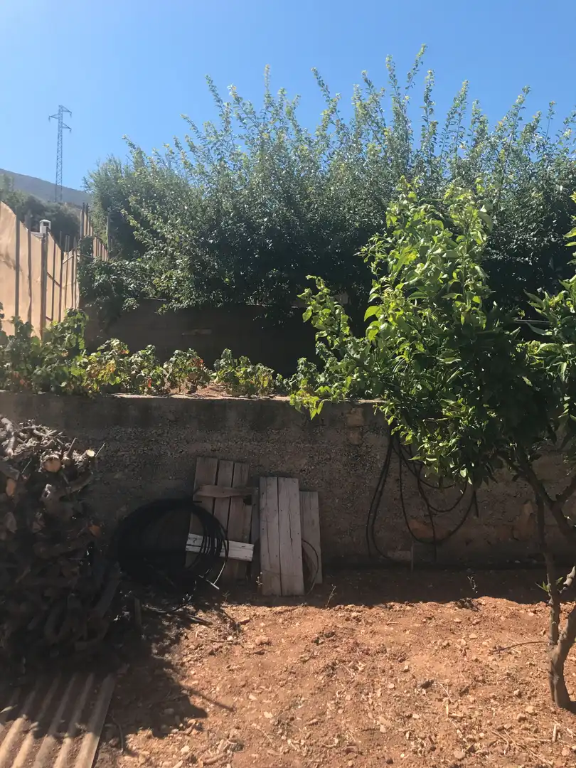Terreno rústico en venta en Motril  ciudad, imagen 5