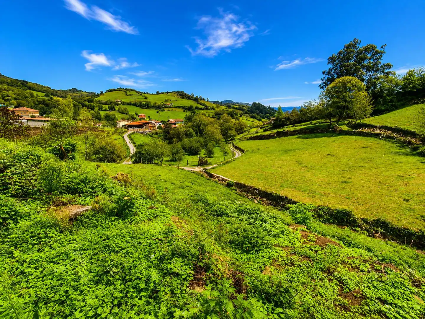 Casa en venda a Salas, imagen 18