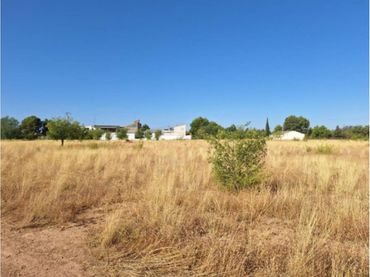 Terreno rustico in vendita a San Pedro