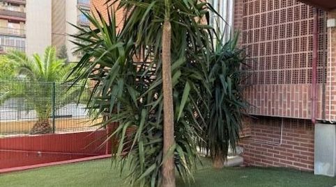 Foto 4 von Wohnung zur Miete in La Fama, Murcia Capital