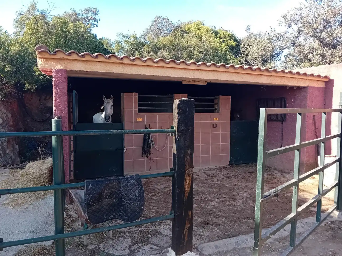 Casa rústica con terraza en venta en Montoro, imagen 29