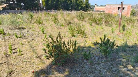 Foto 5 von Residential zum Verkauf in Carrer Noguera, 6, Aiguaviva Parc, Vidreres