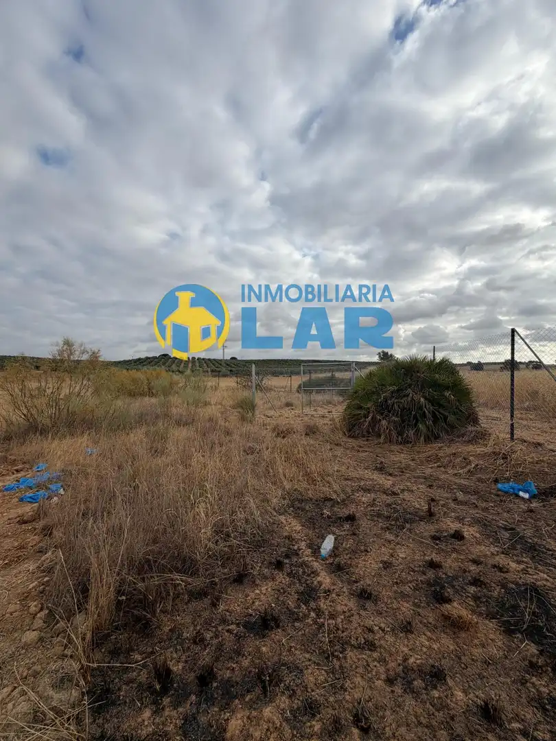 Land for sale in Niebla