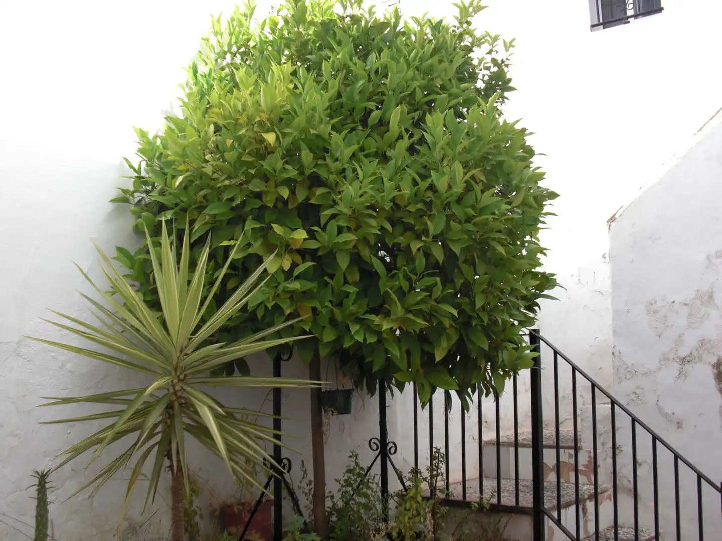 Apartment for sale in Vejer, imagen 23
