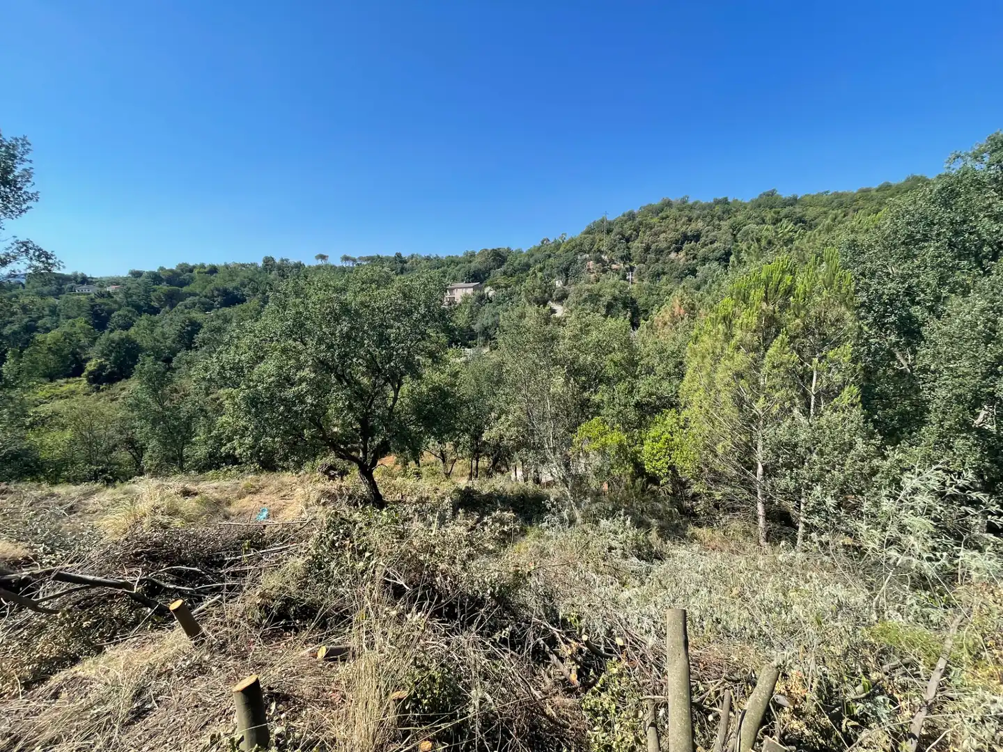 Terreno residencial en venta en Carrer Ponent 107, imagen 3