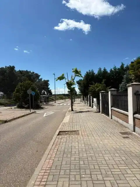 Vista exterior de Casa o chalet en venta en Boecillo con Calefacción, Parquet y Trastero