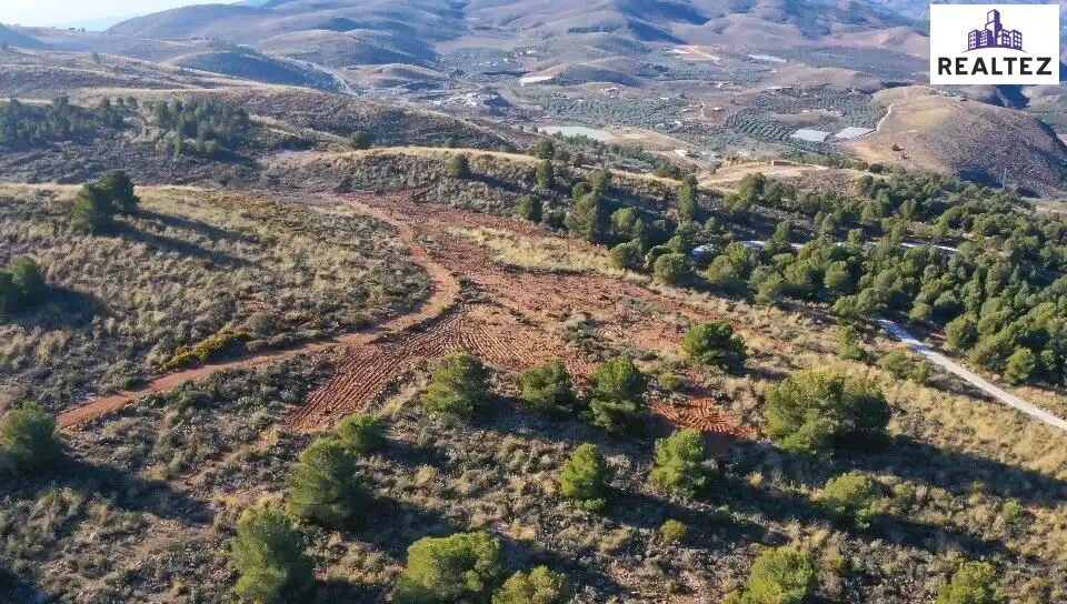 Terrain rustique à vendre à Alcolea, imagen 3