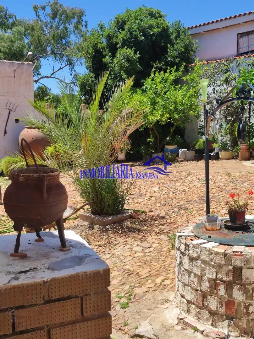 Casa rústica en venta en Alcaracejos, imagen 10