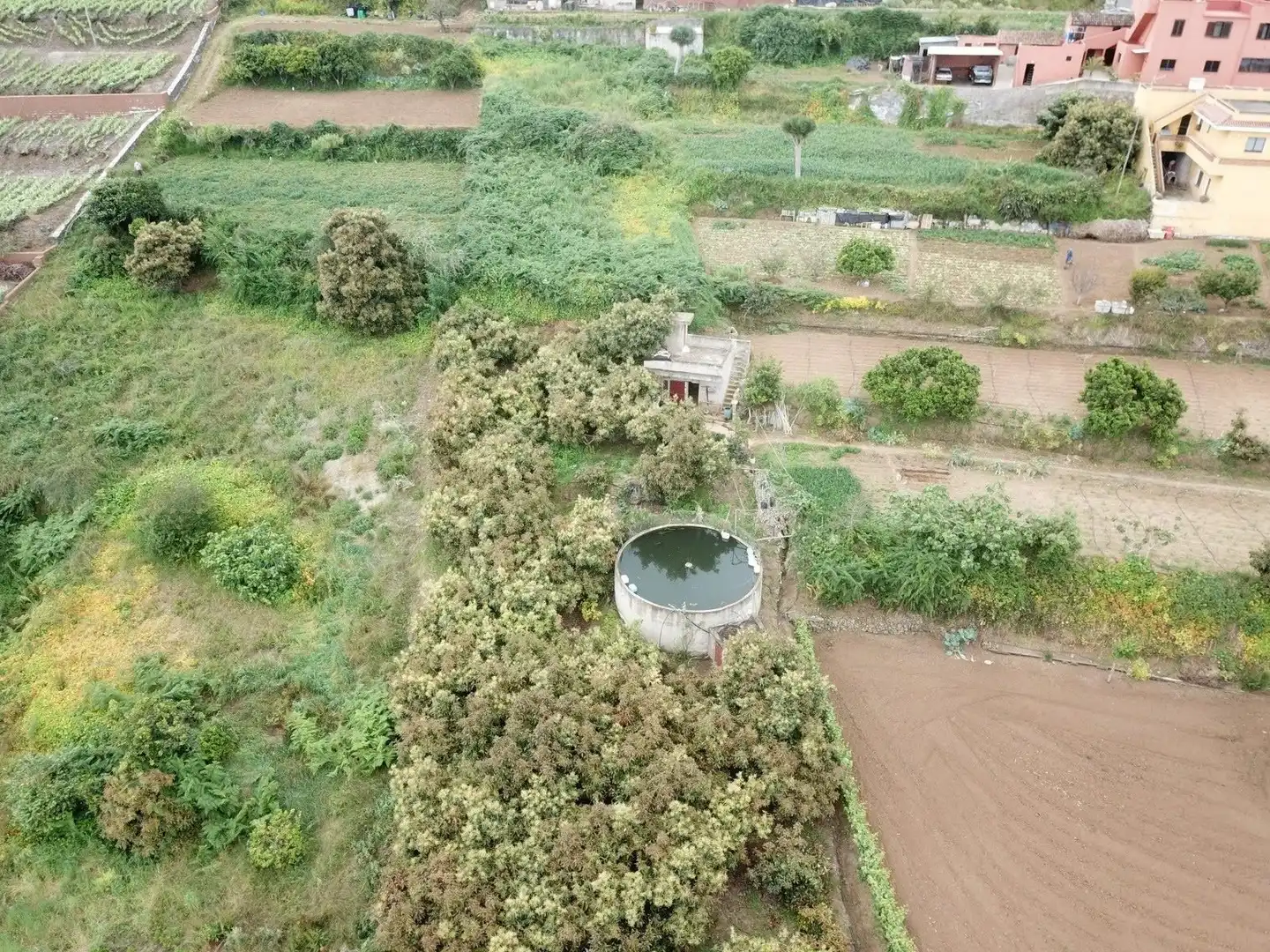 Finca rústica en venta en Los Realejos