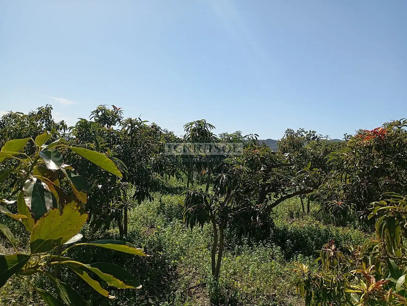 Grundstücke und Bauplätze zum Verkauf in Vélez-Málaga ciudad, imagen 13