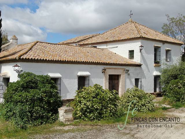 Finca rústica en Venta en Marchena