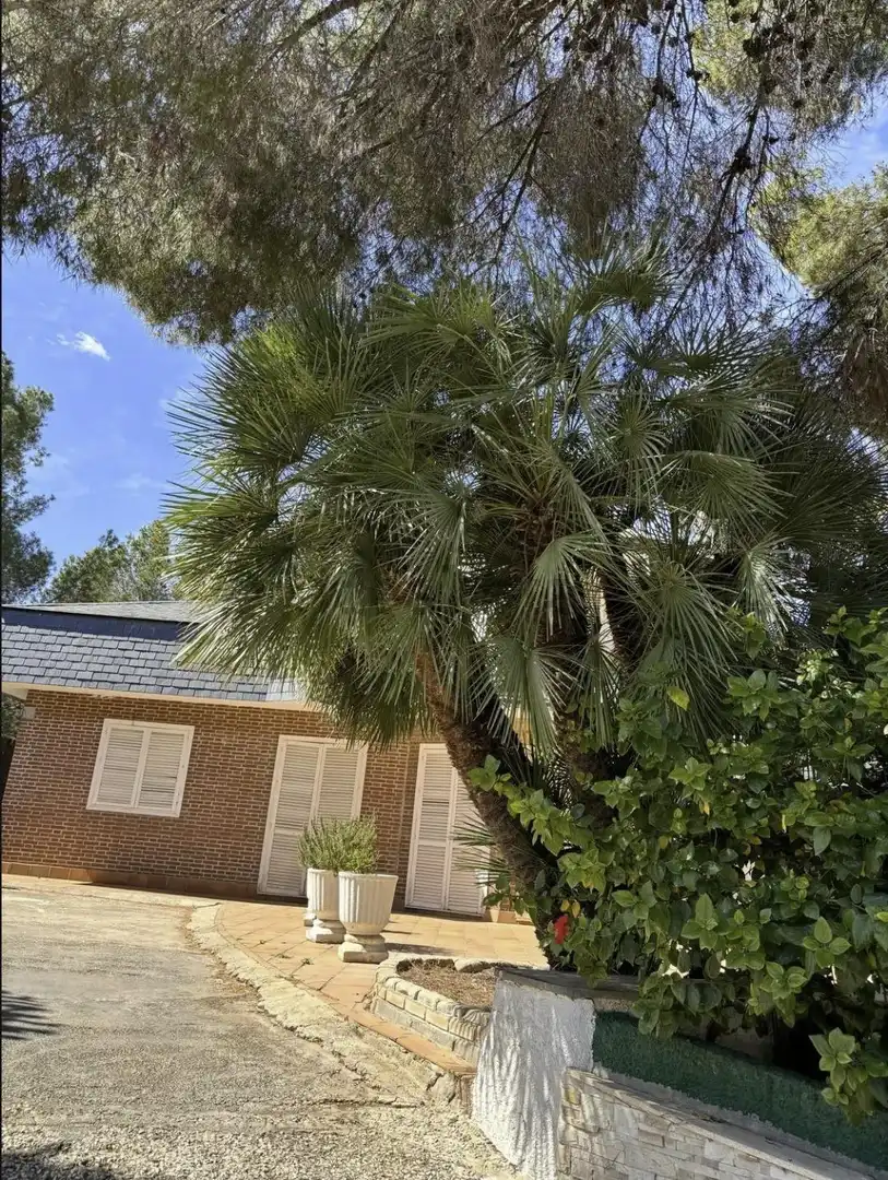 Vista exterior de Casa o xalet en venda en Murcia amb Aire condicionat, Calefacció i Jardí privat