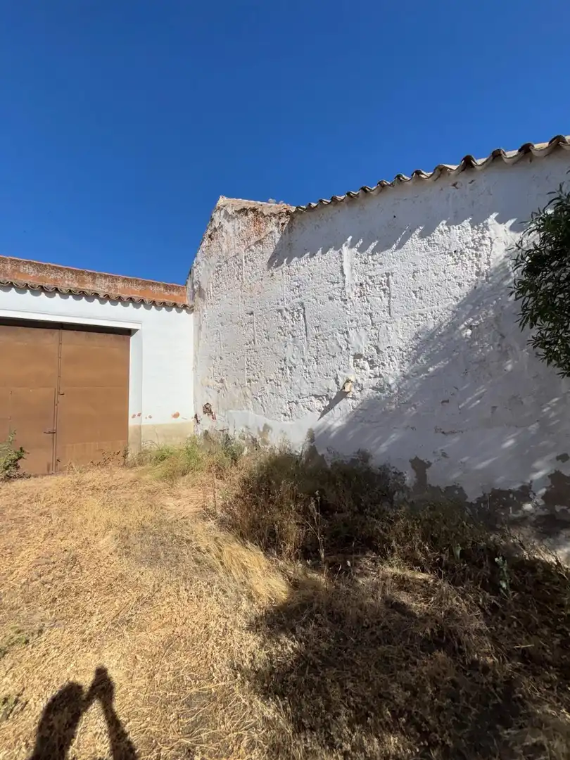 Vista exterior de Casa o chalet en venta en Moral de Calatrava