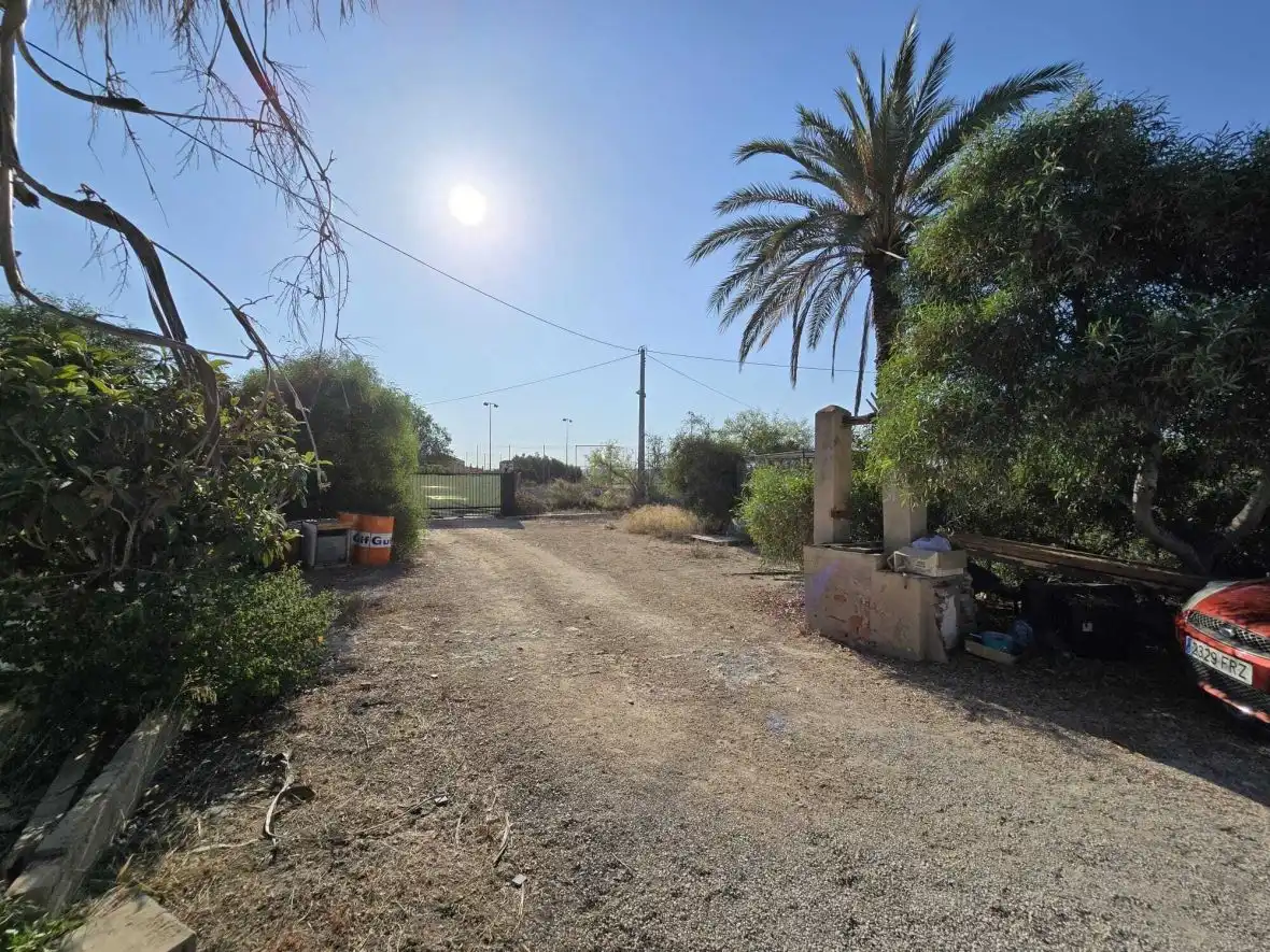 Finca rústica en venta en Elche / Elx con Terraza