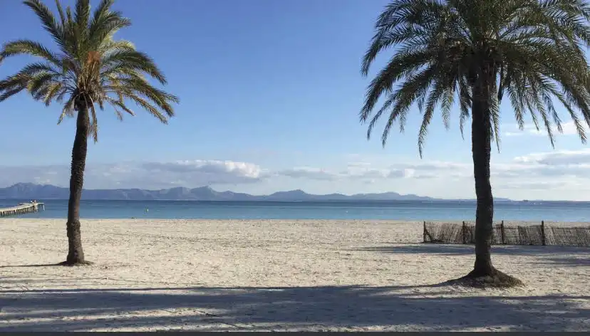 Außenansicht von Geschaftsraum zum Verkauf in Alcúdia mit Klimaanlage und Terrasse