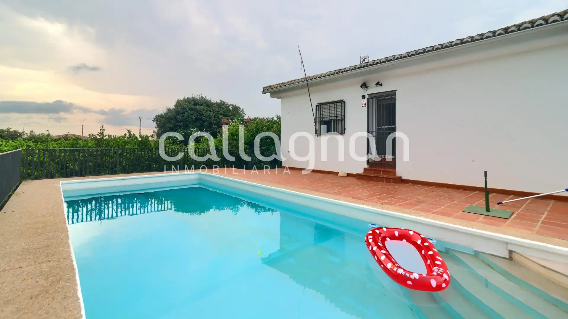 Piscina de Casa o xalet en venda en Alzira amb Piscina