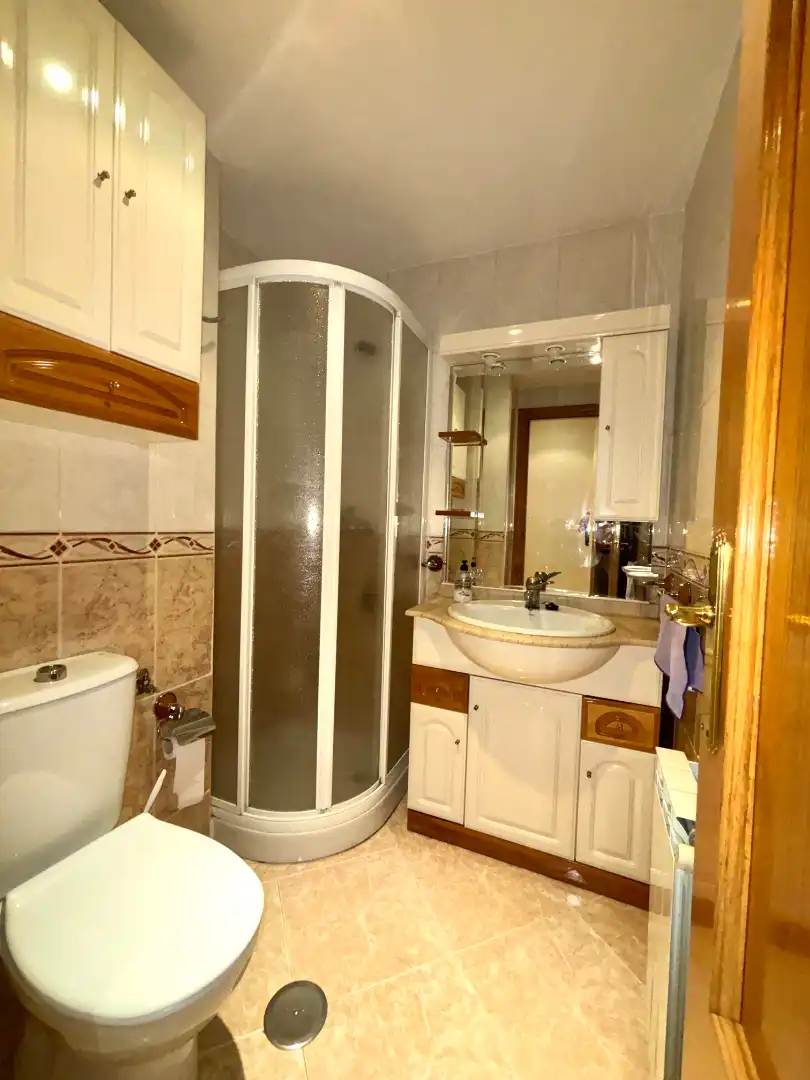 Flat with lift to rent in Avenida Cañada Real 18, imagen 15