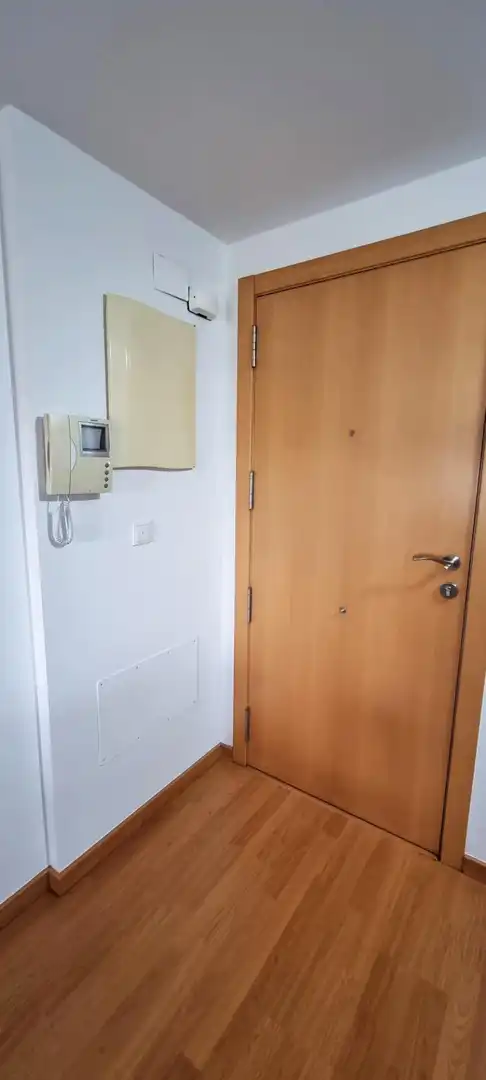 Flat for rent in Aspe  with Air Conditioner, Terrace and Furnished