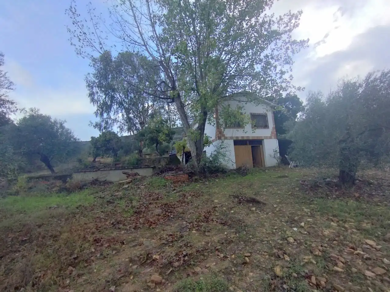 Terrenos y solares en venta en Badajoz, imagen 20