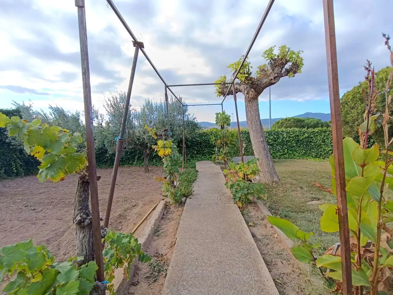 Garden of Houses for sale in Quel  with Private garden, Terrace and Furnished