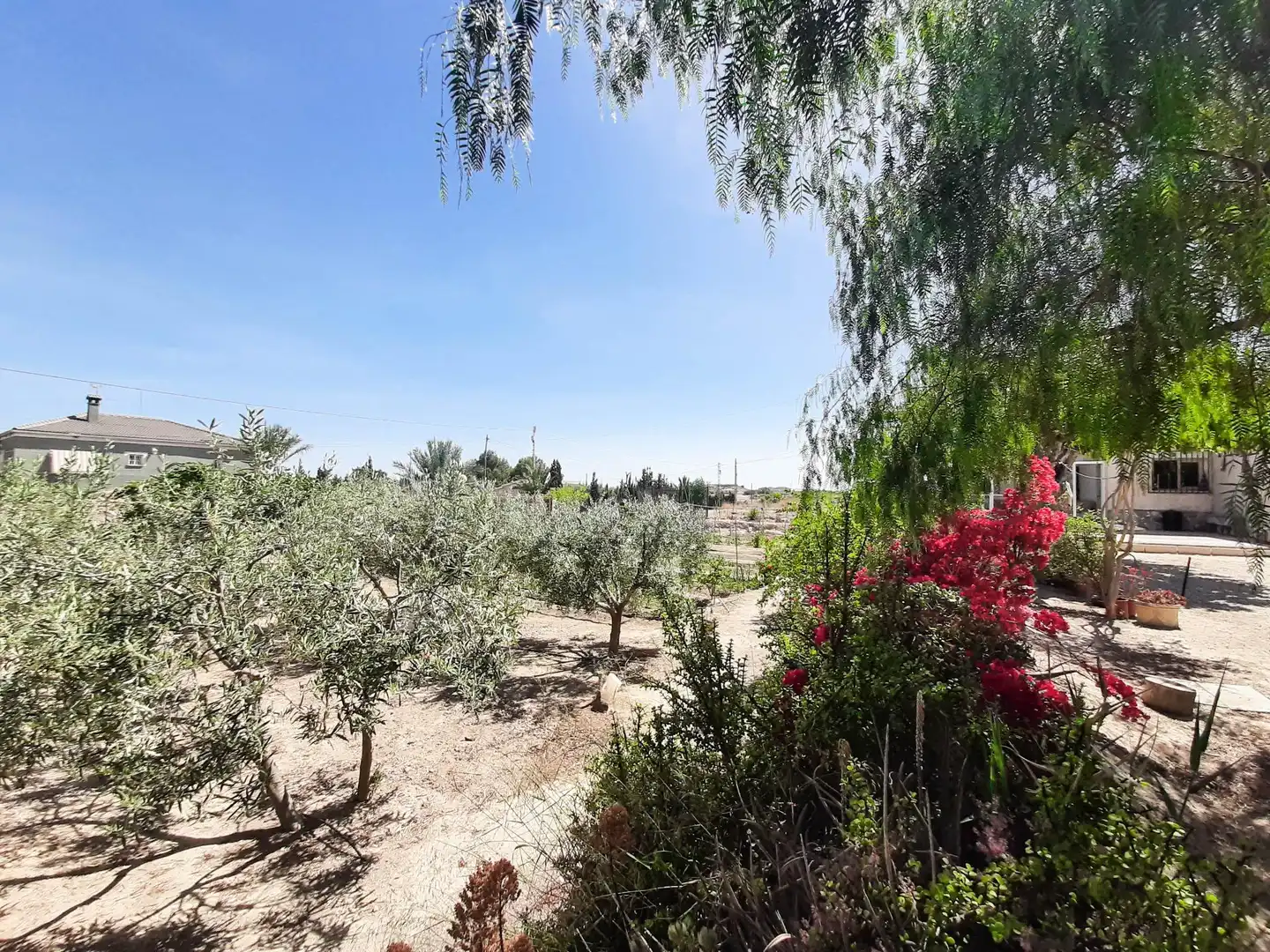 Casa rustica con giardino in vendita a Jubalcoi, imagen 24