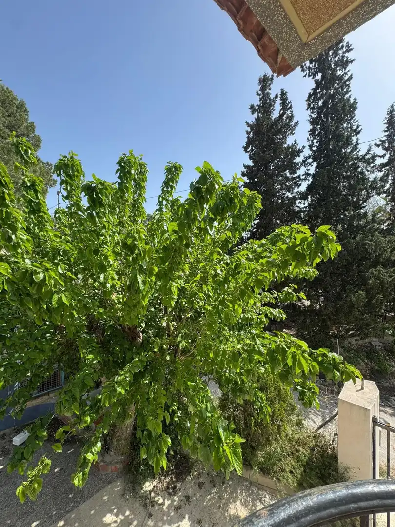 Finca rústica en venta en Rafal con Amueblado
